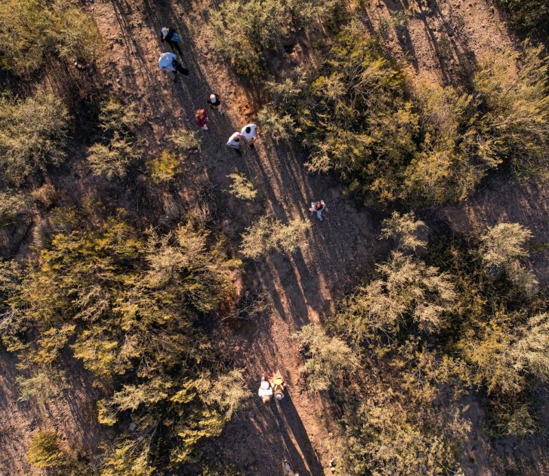 29112024-DJI_0748