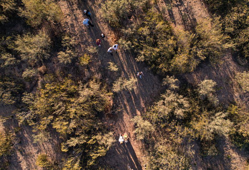 29112024-DJI_0748