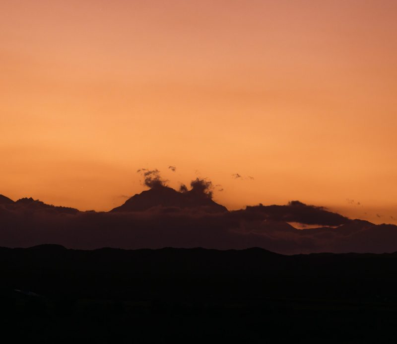 viñedos